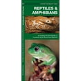 thumbnail image 1 of Pocket Naturalist Guides: Reptiles & Amphibians: An Introduction to Familiar North American Species (Other), 1 of 7