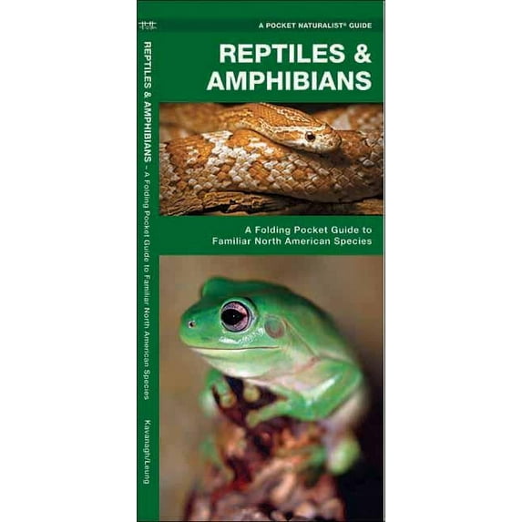 Pocket Naturalist Guides: Reptiles & Amphibians: An Introduction to Familiar North American Species (Other)