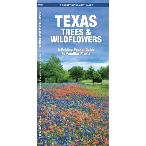 Pocket Naturalist Guides: Texas Trees & Wildflowers: A Folding Pocket Guide to Familiar Species (Paperback)
