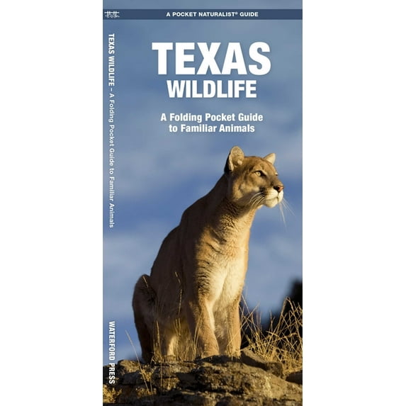 Pocket Naturalist Guides: Texas Wildlife: An Introduction to Familiar Species (Paperback)