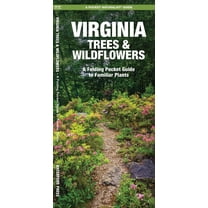 Pocket Naturalist Guides: Virginia Trees & Wildflowers: An Introduction to Familiar Species (Paperback)