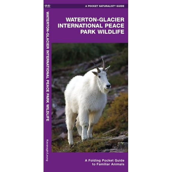 Pocket Naturalist Guides: Waterton-Glacier International Peace Park Wildlife: A Folding Pocket Guide to Familiar Species (Paperback)