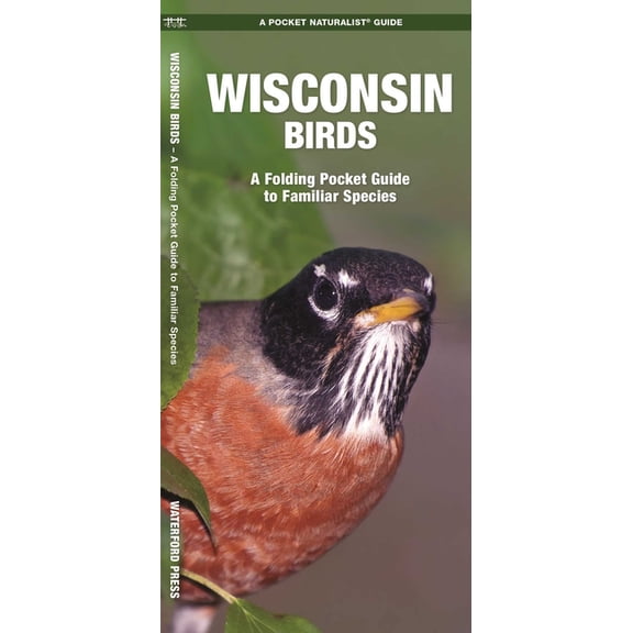 Pocket Naturalist Guides: Wisconsin Birds: A Folding Pocket Guide to Familiar Species (Paperback)