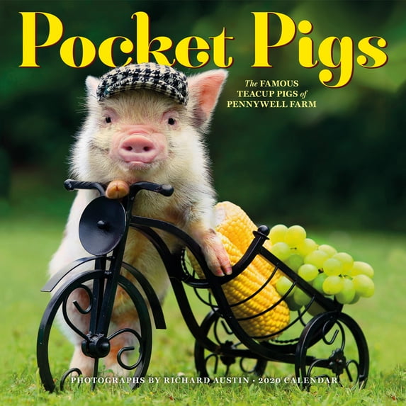 Pocket Pigs Wall Calendar 2020 (Other)
