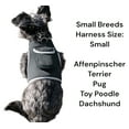 thumbnail image 1 of Pocket Rechargeable Pet Tracker Realtime GPS Tracking Systems for Dogs Size:L, 1 of 5