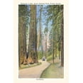 thumbnail image 1 of Pocket Sized - Found Image Press Journals: The Vintage Journal Grant Park, Fresno County, California (Paperback), 1 of 1