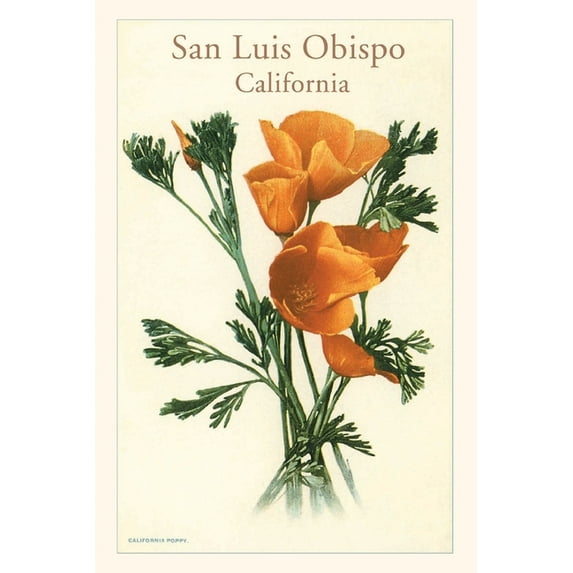 Pocket Sized - Found Image Press Journals: The Vintage Journal San Luis Obispo, California Poppies (Paperback)