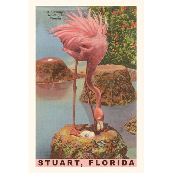 Pocket Sized - Found Image Press Journals: Vintage Journal Flamingo Nesting in Stuart, Florida (Paperback)