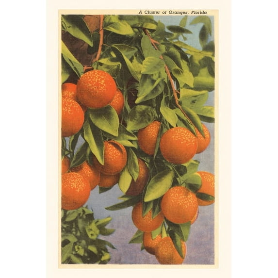 Pocket Sized - Found Image Press Journals: Vintage Journal Oranges, Florida (Paperback)