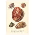 thumbnail image 1 of Pocket Sized - Found Image Press Journals: Vintage Journal Santa Cruz Shells (Paperback), 1 of 1