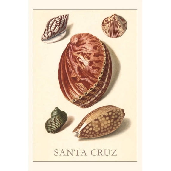 Pocket Sized - Found Image Press Journals: Vintage Journal Santa Cruz Shells (Paperback)