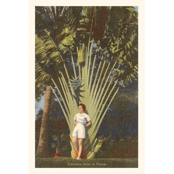 Pocket Sized - Found Image Press Journals: Vintage Journal Travelers Palm, Florida (Paperback)