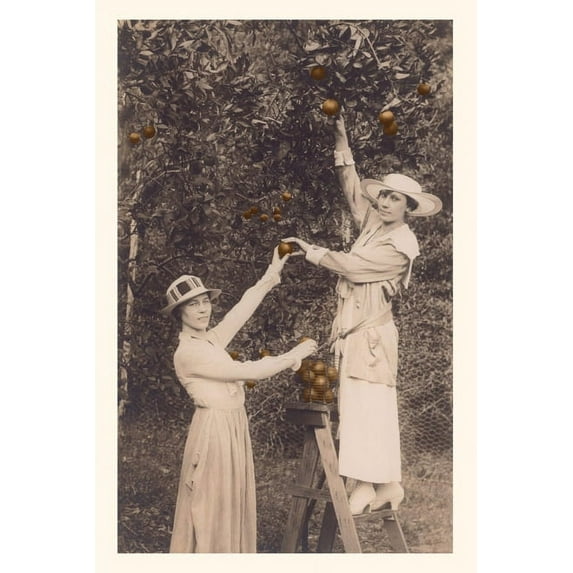 Pocket Sized - Found Image Press Journals: Vintage Journal Women Picking Oranges (Paperback)