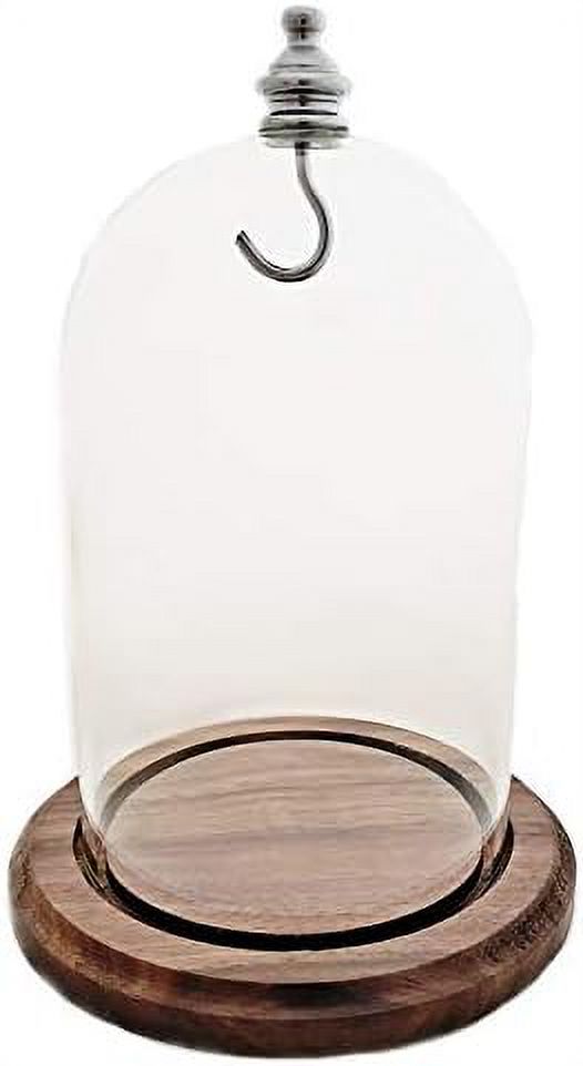 Pocket Watch Glass Display Dome Cloche Real Walnut Wood Base & Silver