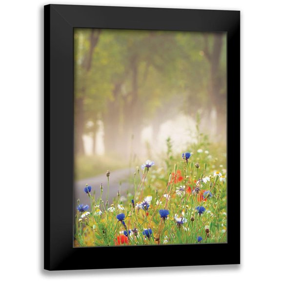 Podt, Martin 11x14 Black Modern Framed Museum Art Print Titled - Bee Pleasure