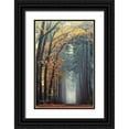 thumbnail image 1 of Podt, Martin 11x14 Black Ornate Wood Framed with Double Matting Museum Art Print Titled - To Another World, 1 of 4