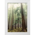 thumbnail image 1 of Podt, Martin 11x14 White Modern Wood Framed Museum Art Print Titled - The Friendly Giants, 1 of 4