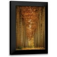 thumbnail image 1 of Podt, Martin 13x18 Black Modern Framed Museum Art Print Titled - Unexpected, 1 of 5