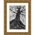 thumbnail image 1 of Podt, Martin 13x18 Gold Ornate Wood Framed with Double Matting Museum Art Print Titled - The Giant I, 1 of 4
