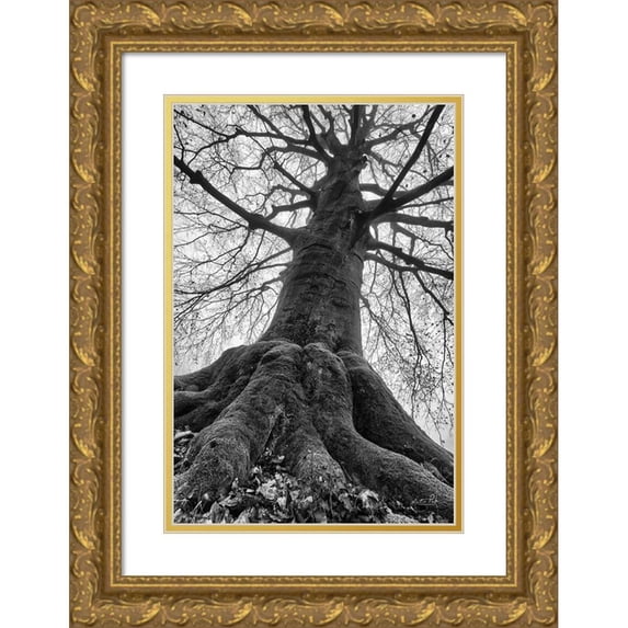 Podt, Martin 13x18 Gold Ornate Wood Framed with Double Matting Museum Art Print Titled - The Giant I