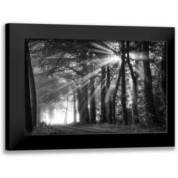 Podt, Martin 14x11 Black Modern Framed Museum Art Print Titled - Amazing Rays