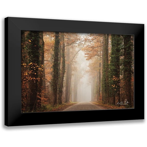 Podt, Martin 14x11 Black Modern Framed Museum Art Print Titled - Foggy Autumn Road