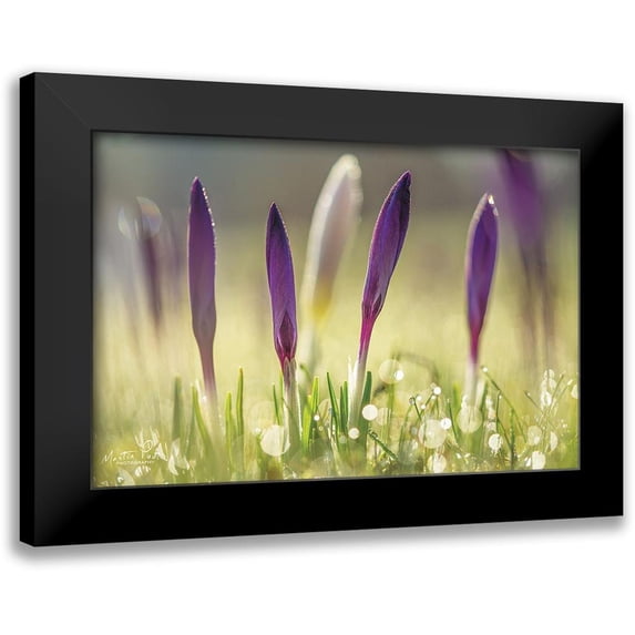 Podt, Martin 14x11 Black Modern Framed Museum Art Print Titled - Four in a Row