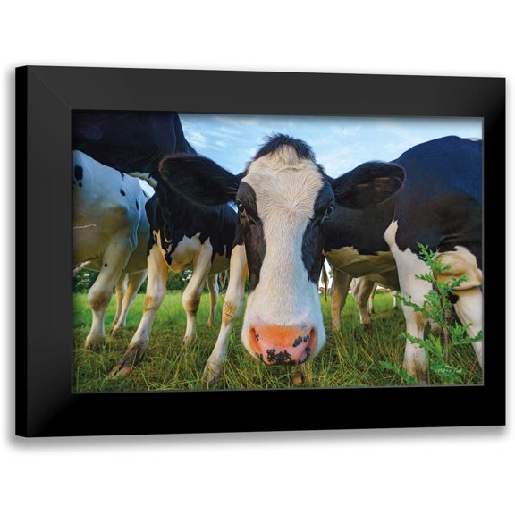 Podt, Martin 14x11 Black Modern Framed Museum Art Print Titled - Moo