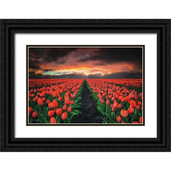 Podt, Martin 14x11 Black Ornate Wood Framed with Double Matting Museum Art Print Titled - Endless Fields