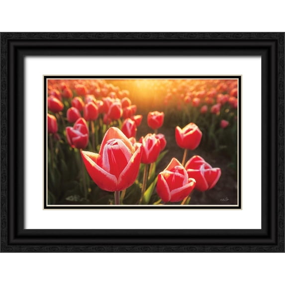 Podt, Martin 14x11 Black Ornate Wood Framed with Double Matting Museum Art Print Titled - Tulips at Sunrise