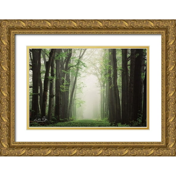 Podt, Martin 14x11 Gold Ornate Wood Framed with Double Matting Museum Art Print Titled - Moisture is the Essence of Wetness