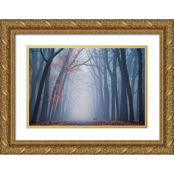 Podt, Martin 14x11 Gold Ornate Wood Framed with Double Matting Museum Art Print Titled - Oh Deer!