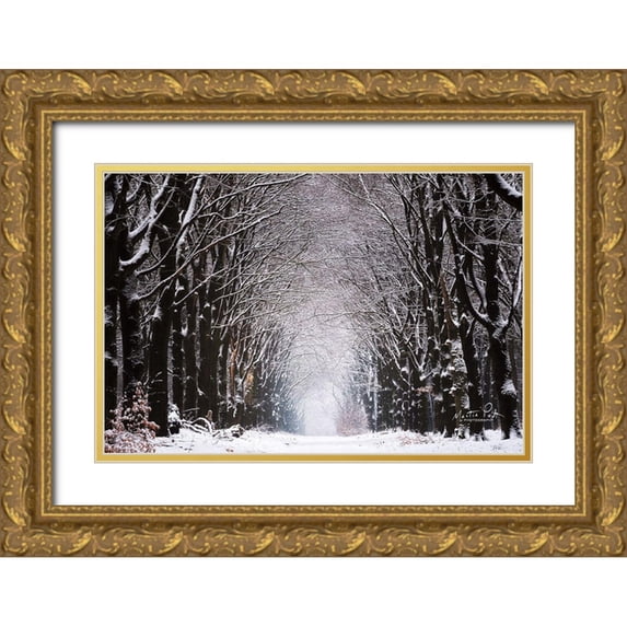 Podt, Martin 14x11 Gold Ornate Wood Framed with Double Matting Museum Art Print Titled - Winter Tunnel