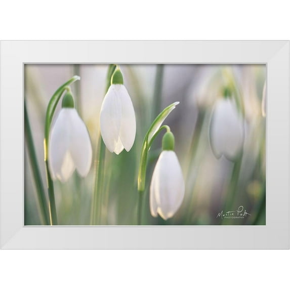 Podt, Martin 14x11 White Modern Wood Framed Museum Art Print Titled - Delicate