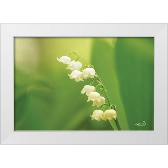 Podt, Martin 14x11 White Modern Wood Framed Museum Art Print Titled - Lily of the Valley