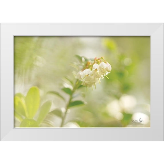 Podt, Martin 14x11 White Modern Wood Framed Museum Art Print Titled - Lingonberry