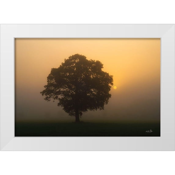 Podt, Martin 14x11 White Modern Wood Framed Museum Art Print Titled - Solitary Oak