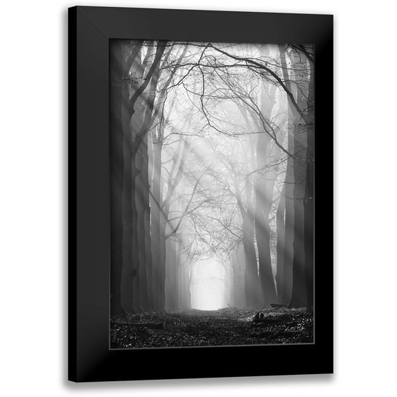 Podt, Martin 17x24 Black Modern Framed Museum Art Print Titled - Sunray Path