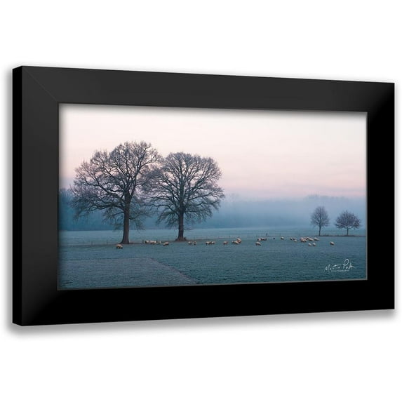 Podt, Martin 18x12 Black Modern Framed Museum Art Print Titled - Sheep on a Cold Morning