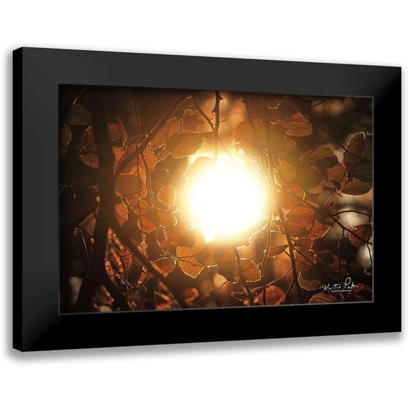 Podt, Martin 18x13 Black Modern Framed Museum Art Print Titled - Into the Sun