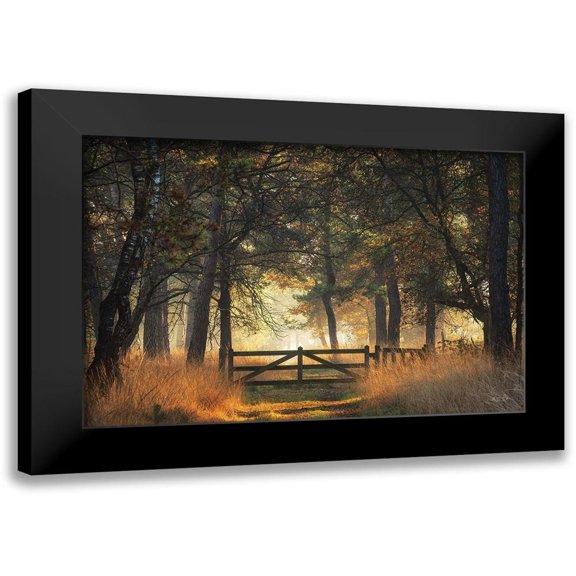 Podt, Martin 18x13 Black Modern Framed Museum Art Print Titled - The Gate