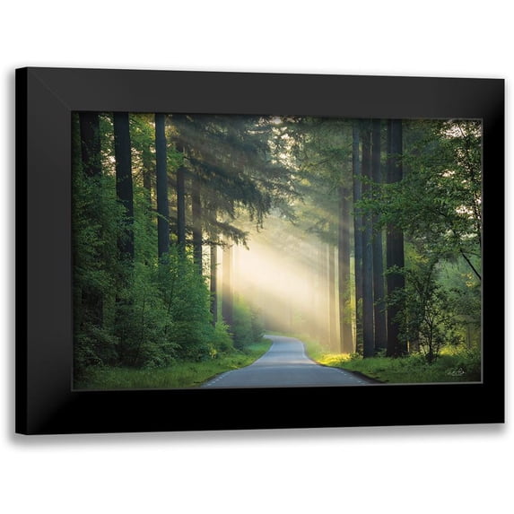 Podt, Martin 18x13 Black Modern Framed Museum Art Print Titled - The Road