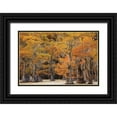 thumbnail image 1 of Podt, Martin 18x13 Black Ornate Wood Framed with Double Matting Museum Art Print Titled - Autumns Painting, 1 of 4