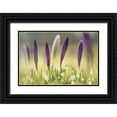 thumbnail image 1 of Podt, Martin 18x13 Black Ornate Wood Framed with Double Matting Museum Art Print Titled - Four in a Row, 1 of 4