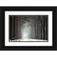 thumbnail image 1 of Podt, Martin 18x13 Black Ornate Wood Framed with Double Matting Museum Art Print Titled - Haunted House, 1 of 4