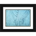 thumbnail image 1 of Podt, Martin 18x13 Black Ornate Wood Framed with Double Matting Museum Art Print Titled - Natures Jewels I, 1 of 4