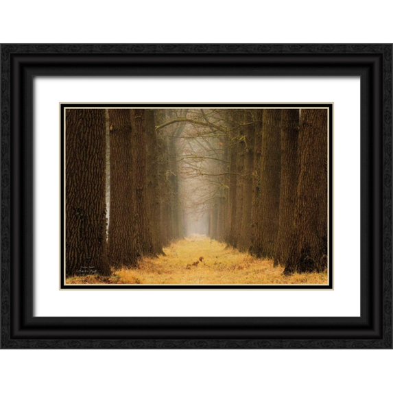 Podt, Martin 18x13 Black Ornate Wood Framed with Double Matting Museum Art Print Titled - Yellow Path