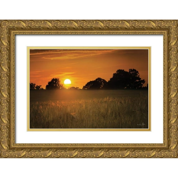 Podt, Martin 18x13 Gold Ornate Wood Framed with Double Matting Museum Art Print Titled - Fields of Gold