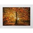 thumbnail image 1 of Podt, Martin 18x13 White Modern Wood Framed Museum Art Print Titled - Autumn Leaves, 1 of 4