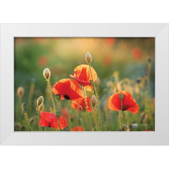 Podt, Martin 18x13 White Modern Wood Framed Museum Art Print Titled - Poppy Field III
